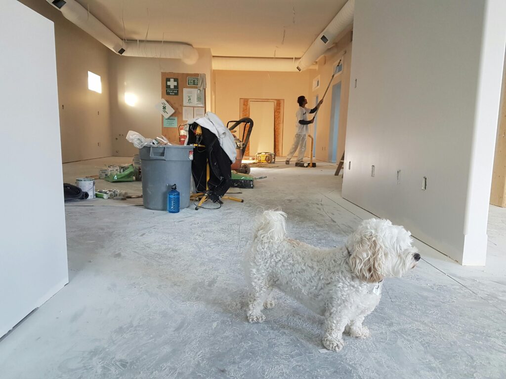 Home improvement